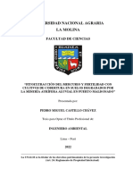 Fitoextracción Del Mercurio y Fertilidad Con Cultivos de Cobertura en Suelos Degradados Por La Minería Aurífera Aluvial