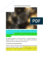 Los Cromosomas Humanos