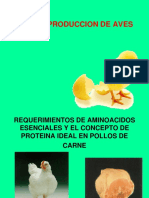 Clase 8. Alimentacion en Pollos de Carne