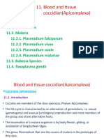 Unit 11. Blood and Tissue Coccidian (Apicomplexa)