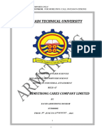 Attachment Report Sample (Armstrong) - 1