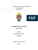 Informe Final de 40 Horas Rosa Pineda