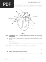 Biology Ecg Question 7