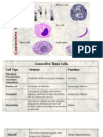 Histology2 Week 2