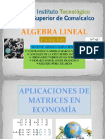 Matrices en Economía