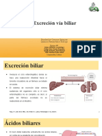 59318-11048-Equipo 4. Excreción Vía Biliar