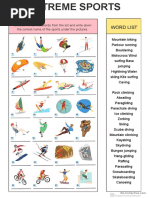 Extreme Sports Worksheet