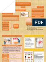 Mapas de Enzimas Pancreaticas