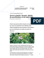 Secret Végétal: Hysope, Plante de Puri Cation Et de Maternité