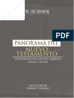 Nuevo Testamento Panorama