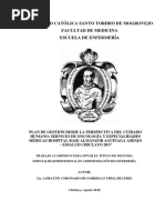 Plan de Gestion Desde La Perspectiva de Cuidado en Oncologia