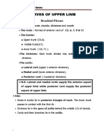 Anatomy Nerves of UL 2022