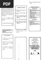 Triptico de Clausura de Gestion - Propositos Pedagogicos