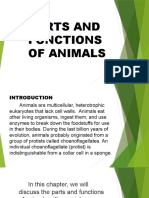 Parts and Functions of Animals