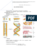 DNA e Síntese Protéica - Passei Direto