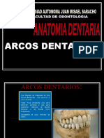 Arcos Dentarios