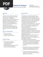 White and Blue Clean Lines Sales Executive Resume