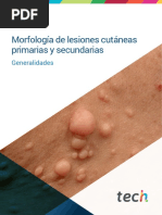 Dermatología Clínica I Morfología de Lesiones Cutáneas Primarias y Secundarias