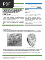 Module 8 Student Activity Sheet