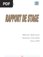 Rapport