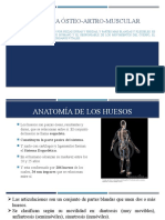 Anatomia de Los Huesosbn