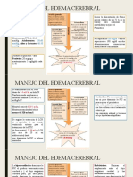 Manejo Del Edema Cerebral