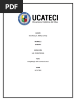 Fisiopatologia de La Insuficiencia Renal