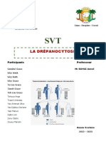 Exposé La Drépanocytose