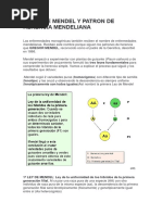 Leyes de Mendel y Patron de Herencia Mendeliana