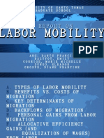 Labor Mobility Report