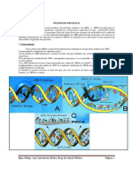 Síntesis de Proteínas