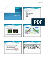 Aula Teorica 2. Morfologia Dos Insetos