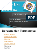 Benzena N Turunannya