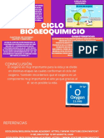 Ciclo Del Oxigeno