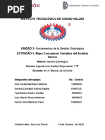 Actividad 1 - Mapa Conceptual - Analisis Interno