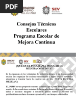 Programa Escolar de Mejora Continua