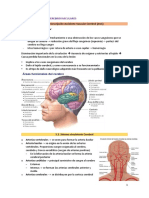 Neuropsicologia TEMA 5 Vascular