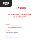 Niif 19 Beneficios A Los Empleados y Niif 41agricultura...