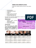 Clases Dermatologã - A