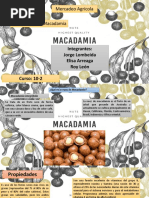 Nuez de Macadamia