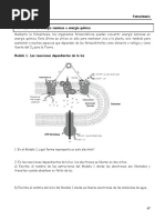 Reaccciones Dependientes.