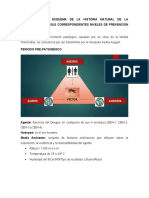 Establezcan El Esquema de La Historia Natural de La Enfermedad Con Sus Correspondientes Niveles de Prevención Del Dengue