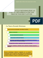 Sugerencias Metodológicas para El Desarrollo de Los Proyectos - 083553