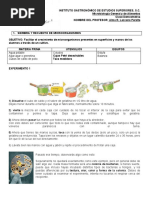 Practicas de Microbiologia