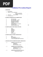 Pollution Prevention Report - Format