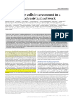 Brain Tumour Cells Interconnect To A Functional and Resistant Network