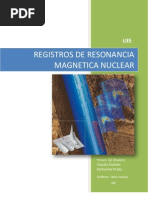 Registros de Resonancia Magnetica Nuclear