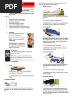 Patient Positioning