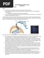 Module 4 Cytogenetics