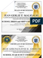 Recognition Award Certificates School coordinatorship.2021.MTRV